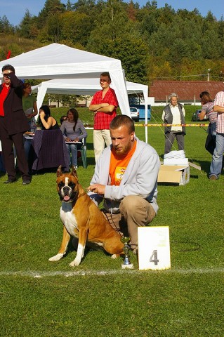 www.boxer-show.eu